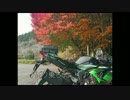 バイク乗ろうよ！Part.2