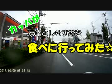 かっぱが友人としらす丼を食べに行ってみた