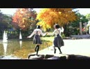 【みきゅ♪あんな】ぴんこすてぃっくLuv　踊ってみた