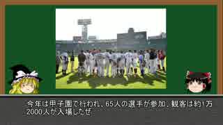 【ゆっくり解説】ゆっくり野球選手紹介・解説番外編1【FA＆戦力外】