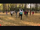 【代々木ハレオフ】ラジオ体操5拍子