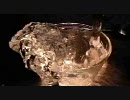 600fps　水流のスロー動画、ライトを工夫して見やすく