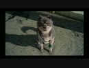 【ゆっくり実況】のんびり気ままにFF15寄り道プレイ【Part.5】