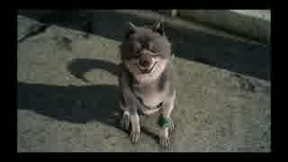 【ゆっくり実況】のんびり気ままにFF15寄り道プレイ【Part.5】