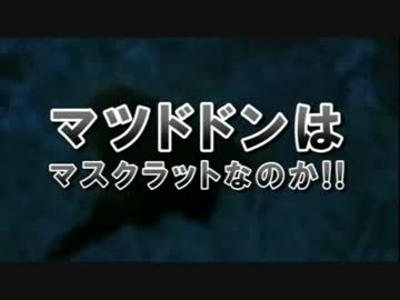 【怪奇生物調査】File.マツドドンとヘビダコ【UMA調査隊】