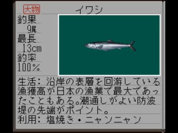 バグぬし画像集 17
