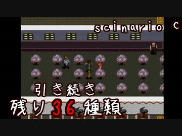 未来に向けて頑張りがちな動物探索実況【リンダキューブアゲイン】 #51