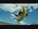 FF15 太公望の悪魔退治クエスト アビスグルーパー釣り