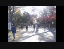 ニコ生 どかＸ 中嶋勇樹 ハゲ ニート 2016年12月06日13時30分 P2