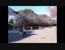 ニコ生 どかＸ 中嶋勇樹 ハゲ ニート 2016年12月06日13時30分 P6
