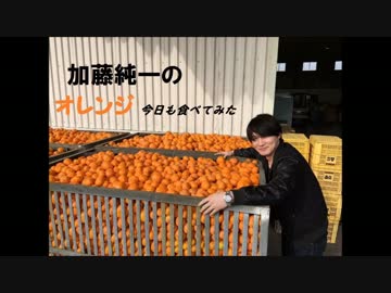 加藤純一のオレンジ今日も食べてみた