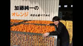 加藤純一のオレンジ今日も食べてみた