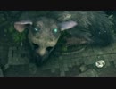 【人喰いの大鷲トリコ】どう見ても鷲ではないという話【実況】_02