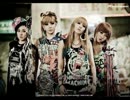 2ne1 Hate You 歌わせていただきました☆