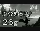 【ゆっくり】塩分を捧げよ 26g【Salt and Sanctuary】