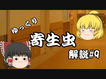 【ゆっくり解説】ゆっくり寄生虫解説#9~アニサキス~