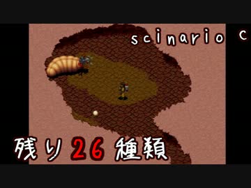 未来に向けて頑張りがちな動物探索実況【リンダキューブアゲイン】 #52