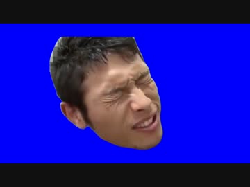 スズメバチに刺されて痛がるゆうさくBB