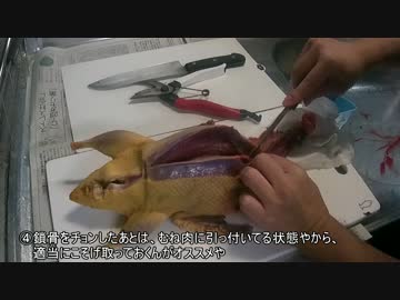 丸鳥解体　カモを捌いてみよう　　新米猟師ハンターライフ3rdシーズン08