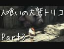 【実況】小さな少年と人喰いの大鷲の物語【トリコ】Part3