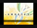 【シューティング風楽曲集】SHELIFT Sound Tracks【UNOFFICIAL復刻盤】