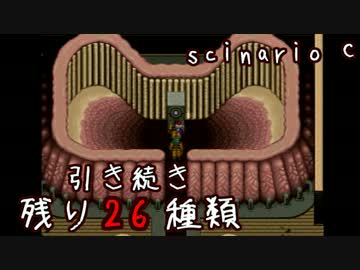 未来に向けて頑張りがちな動物探索実況【リンダキューブアゲイン】 #53