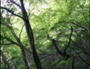 ＹＯＵっぽいなにか。