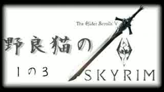 野良猫のスカイリム part1の3