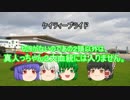 ゆっくり達のテキトーモットー競馬予想１００～阪神ＪＦとか～