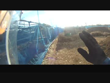 加齢たサバゲー　攻防戦　オマケに自爆