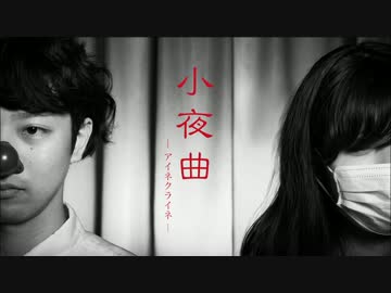 【てっちと絶壁】アイネクライネ【踊ってみた】