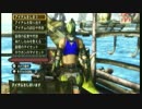 日本語苦手な文学部がモンハンで筋骨隆々の海の戦士を目指す１3