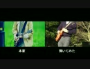 前前前世　ＭＶを再現してみた