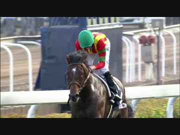 モーリス　香港競馬場限定　フィギュア　香港カップ　記念品 香港】香港カップ(G1) モーリス 2016【沙田馬場】 - ニコニコ動画