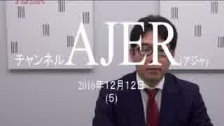 『足元の日本経済の動向①』片岡剛士　AJER2016.12.12(5)