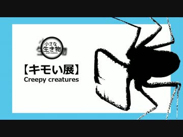 キモい展（正式名称）を見てきた 【小さな生き物】 番外編01