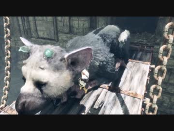 【大鷲トリコ】可愛い獣と二人三脚で歩む物語を実況 part8