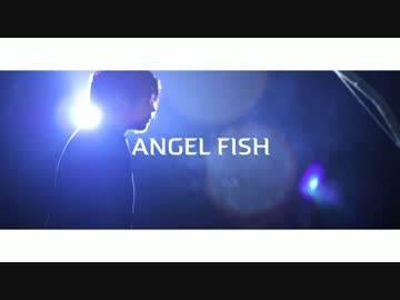 【実写MV】エンゼルフィッシュ/vo向日葵さん【作ってみた】