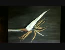 Paradis de oiseau