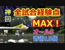 【パワプロ2016】パワフェス・達人のお守りで全試合経験点MAX part終