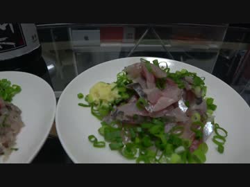 釣りどれんの電車釣行記　10　～釣りたてのアジが食べたい！～