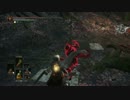 【ダークソウル３】趣味の侵入３４