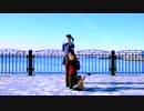 【きーすけ＆みやび】愛Dee【踊ってみた】