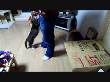 父ちゃんに興奮