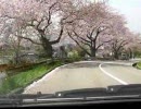 【金沢】卯辰山公園線 走ってみた【お花見】(2/2)