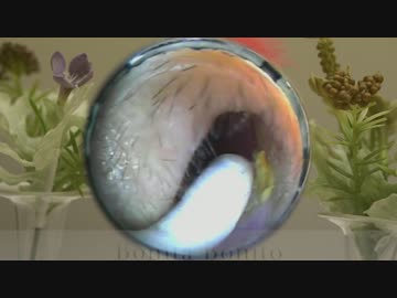 プロの耳掃除キャプチャー2