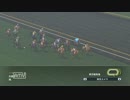 配合理論ガバガバな馬主が牝馬六冠を目指す　２０年目（４５年目）