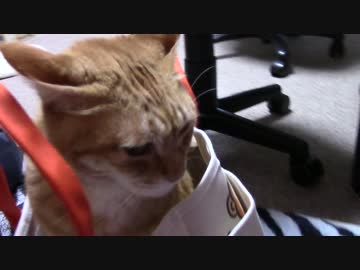 拾いねこ＠生後1622/1589日目　auのバッグが当たったそうです。