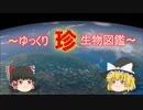 ～ゆっくり　珍　生物図鑑～　新・47回