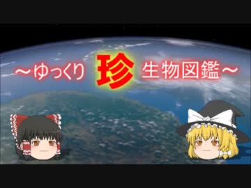 ～ゆっくり　珍　生物図鑑～　新・47回